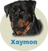 Xaymon Fenno Von Rottssel