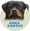 Anka Xantos Von Rott