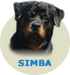 Simba Chef Von Rottssel