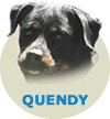 Quendy Max Von Rottssel