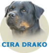 Cira Drako Von Rottssel