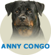 Anny Congo WB Von Rottssel