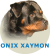 Onix Xaymon WA Von Rottssel