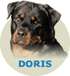 Doris Von Rottssel