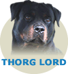 Thorg Lord Von Rottssel