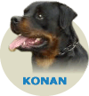 Konan Ilco Von Rottssel