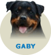 Gaby Eyck zum Ritter