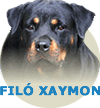 Filó Xaymon WB Von Rottssel