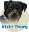 Nixie Thorg WB Von Rottssel