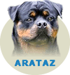 LEROYS ARATAZ