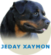 JEDAY XAYMON WB VON ROTTSSEL