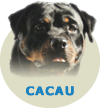 Cacau Gaby Wa Von Rottssel