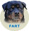 Fart From House Rotvis