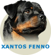 (CA) Xantos Fenno Von Rottssel