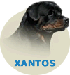 Xantos Fanton Von Olivio