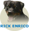 Rick Enrico Carebru