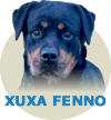 Xuxa Fenno Von Rottssel